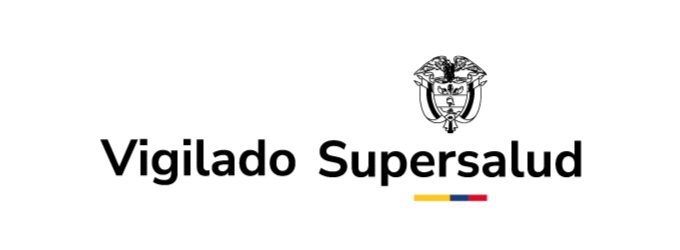 Logo IT Management